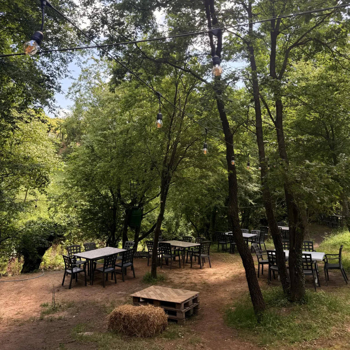Pylli Surrelit Farm