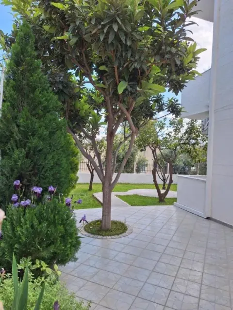 Vila Anxhelo