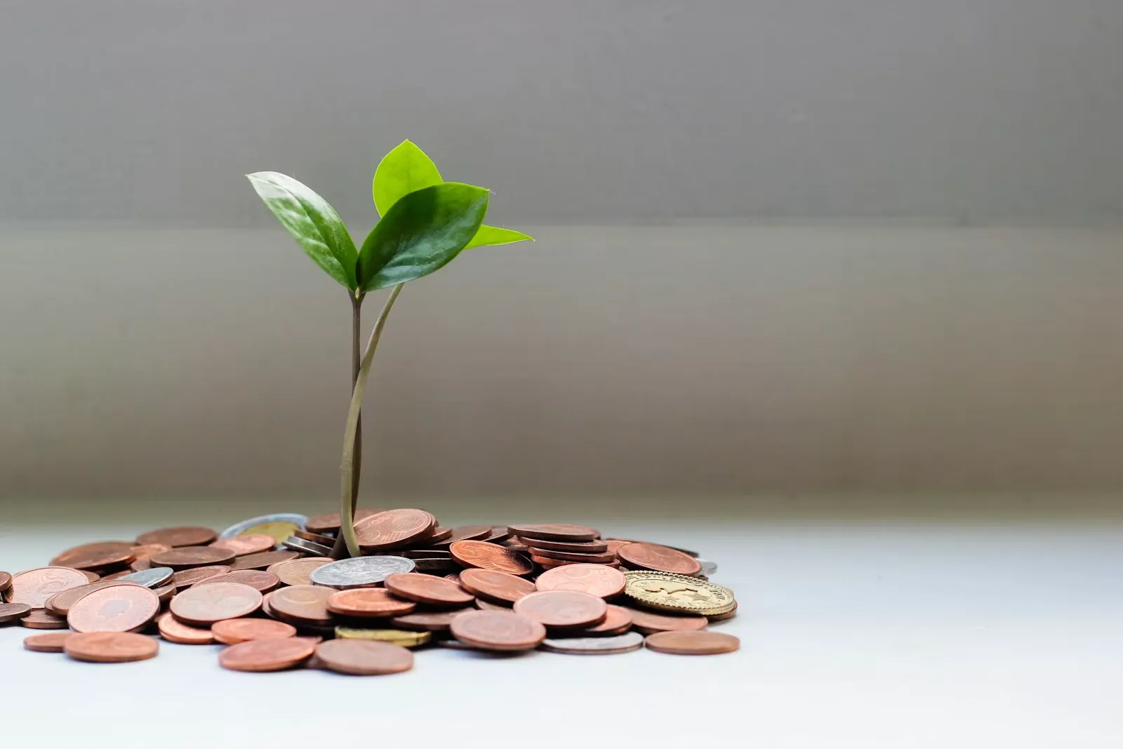 Money, ATMs, and tipping