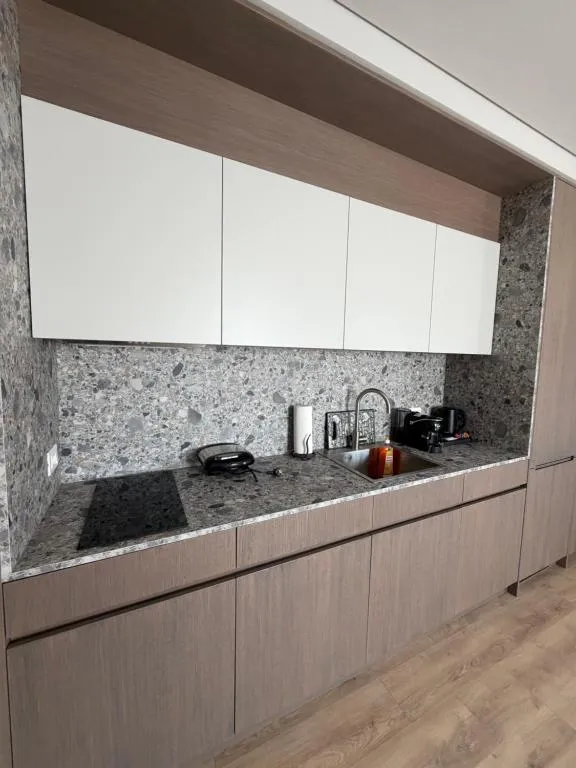 Central Apartment Blloku