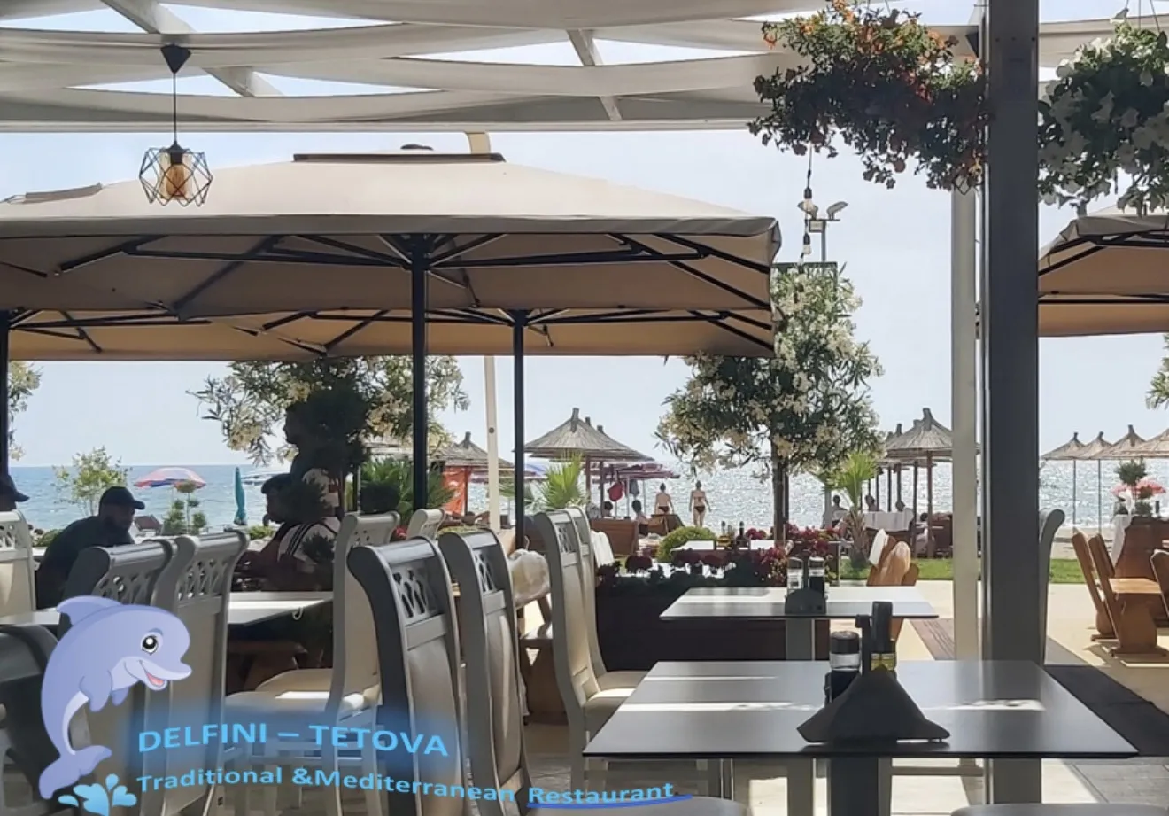 Delfini Tetova Shkëmbi i Kavajes
