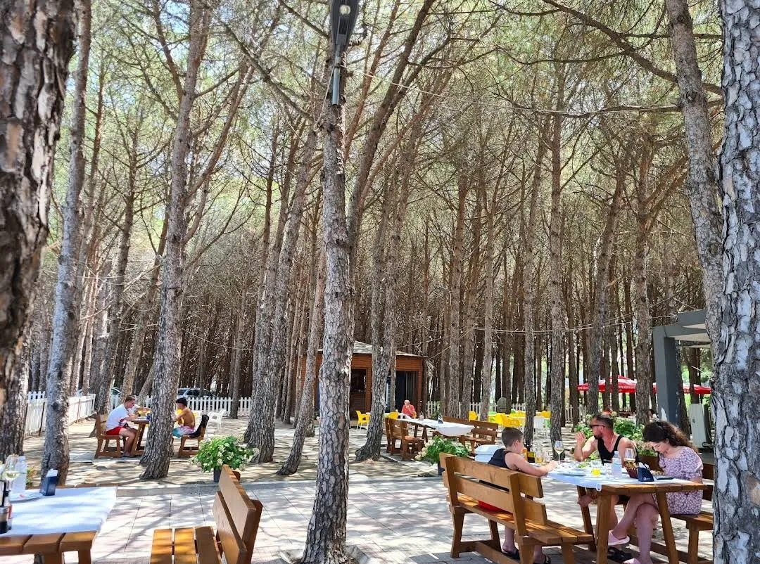 Bar Restorant Piceri Laguna e Vilunit